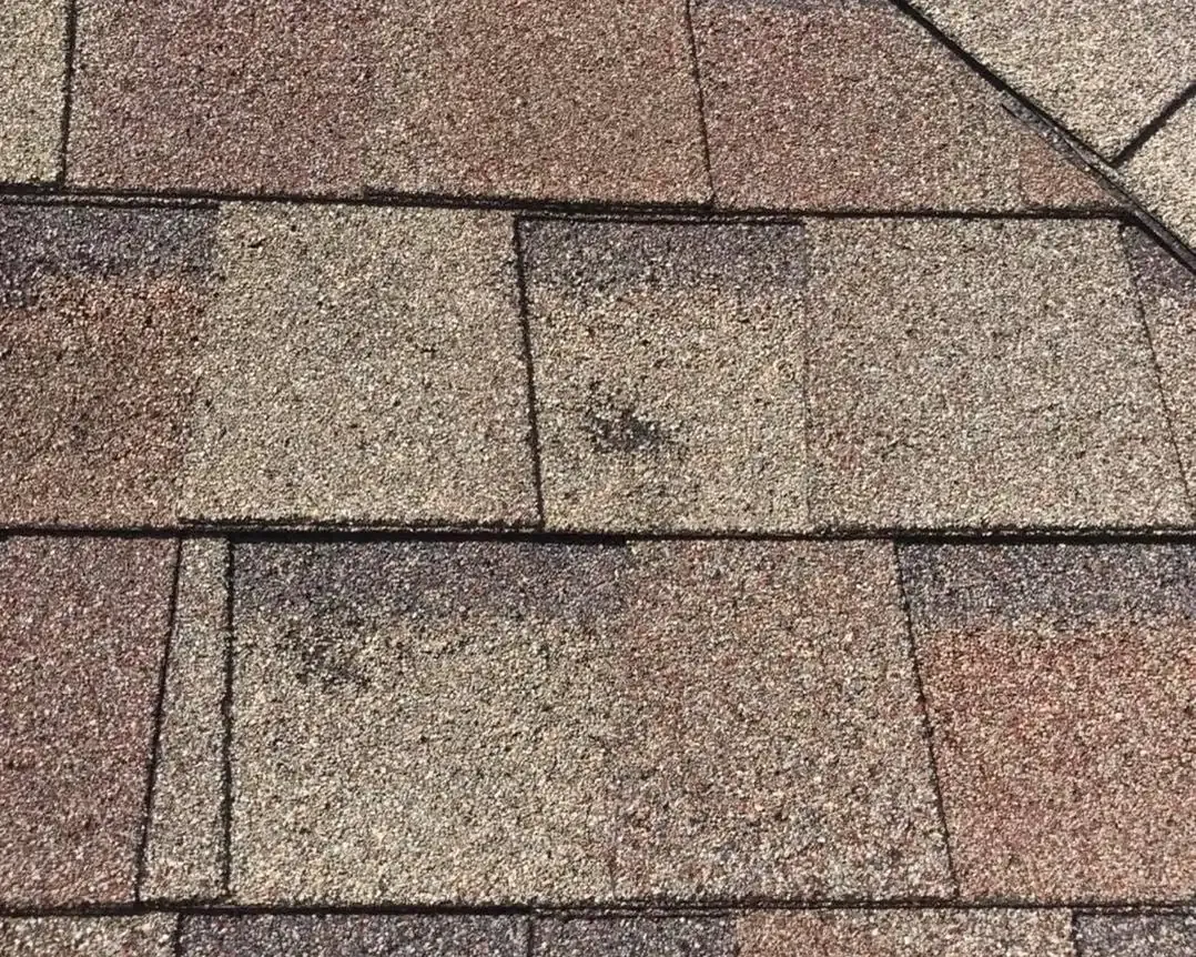 Close-up of brown asphalt shingles, C&A Roofing & Construction