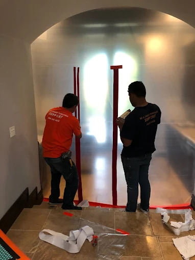 Professional mold remediation and removal services